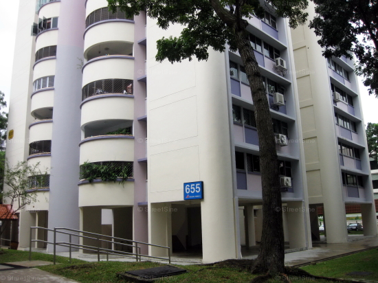 Blk 655 Hougang Avenue 8 (Hougang), HDB 5 Rooms #252082